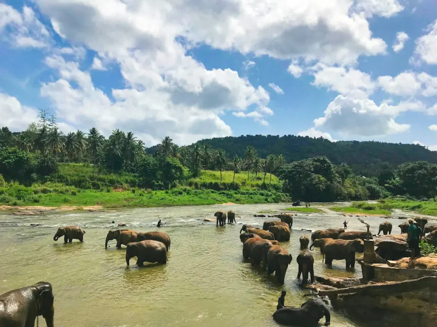Gal Oya National Park — Connected to the wild And Nature