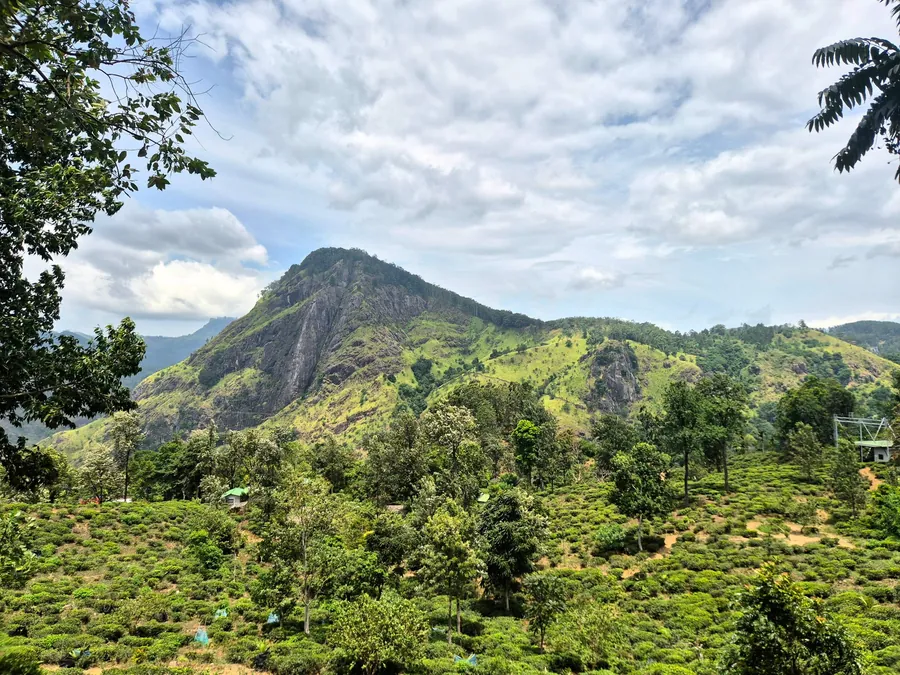 Hill Country and Heritage Tour — 10 Nights 11 Days