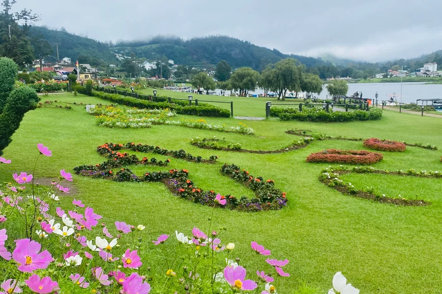 Kandy | Nuwara Eliya — Culture and Hill Country Tours