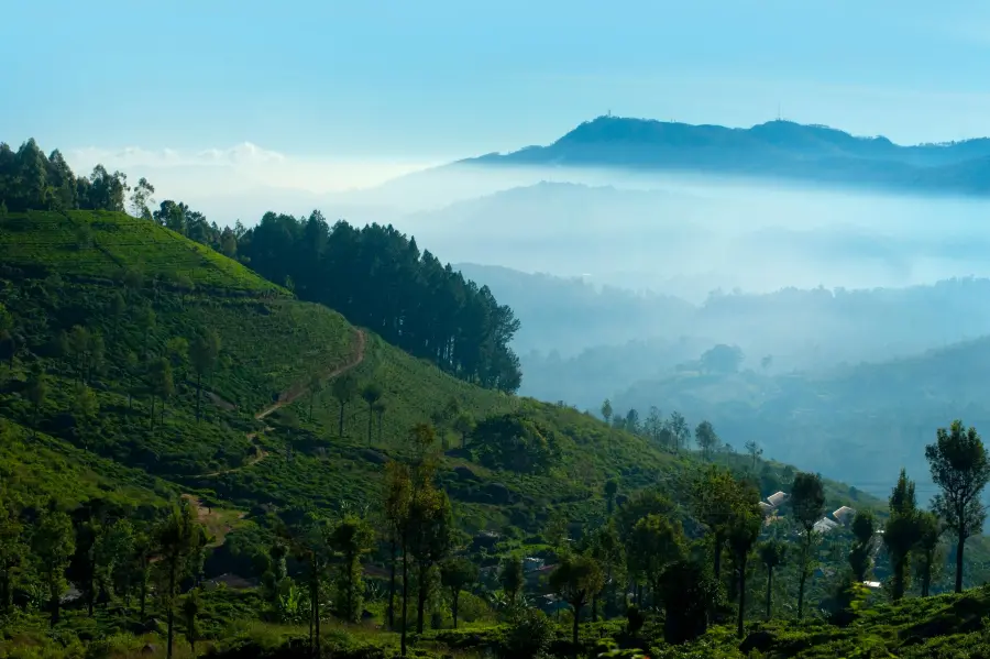 Sri Lanka landscape