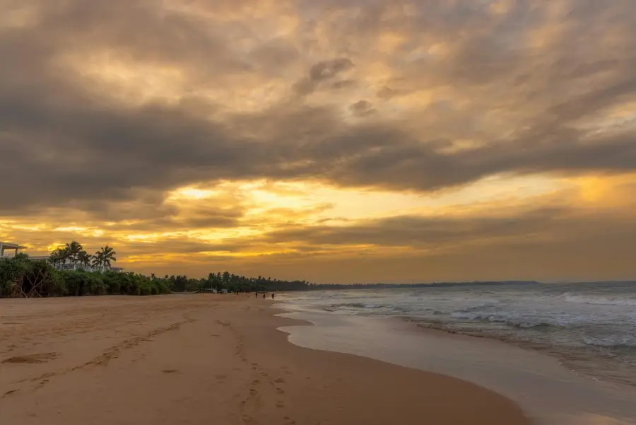 Negombo — Connected to the wild And Nature