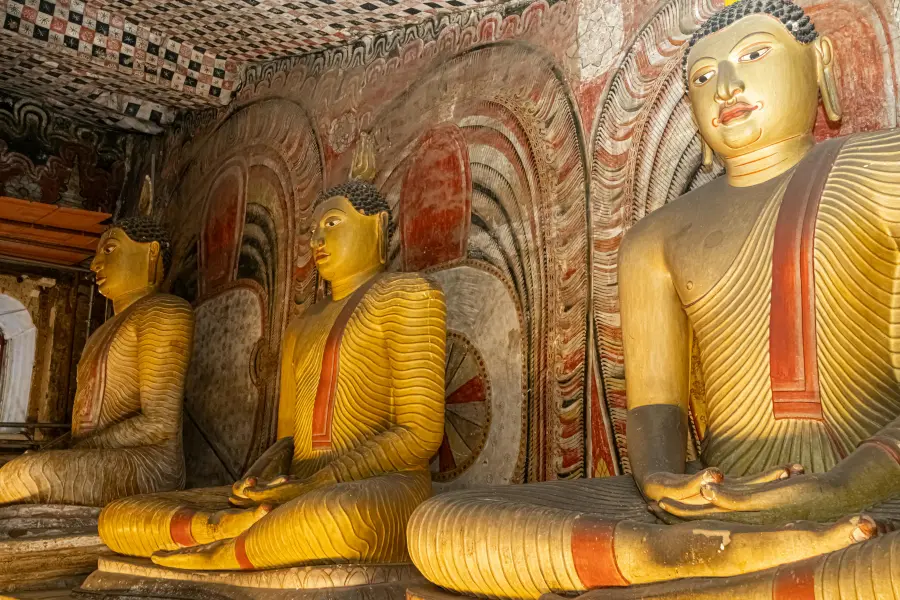 Kandalama | Sigiriya — Special Tours To Explore