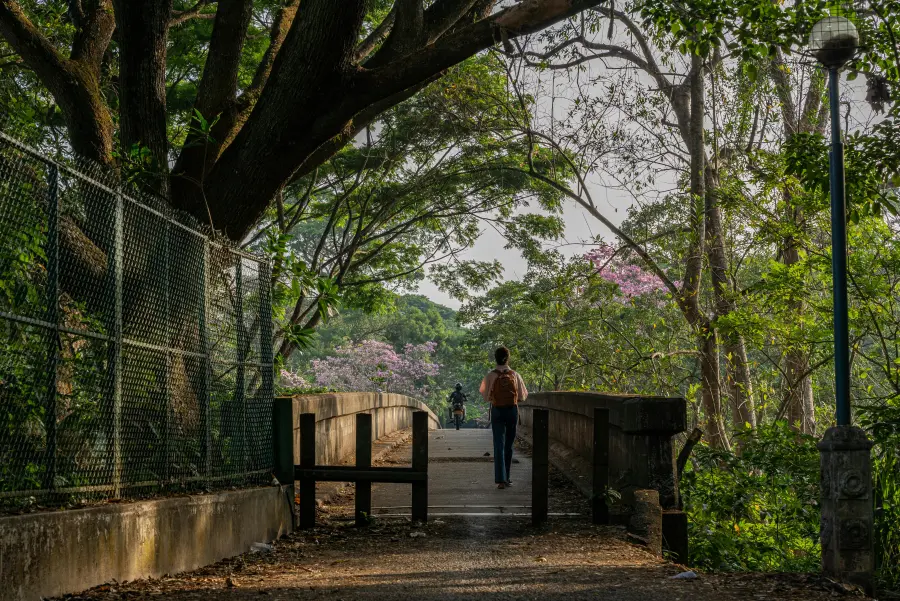 Kandy | Peradeniya — Cultural & Heritage Highlights