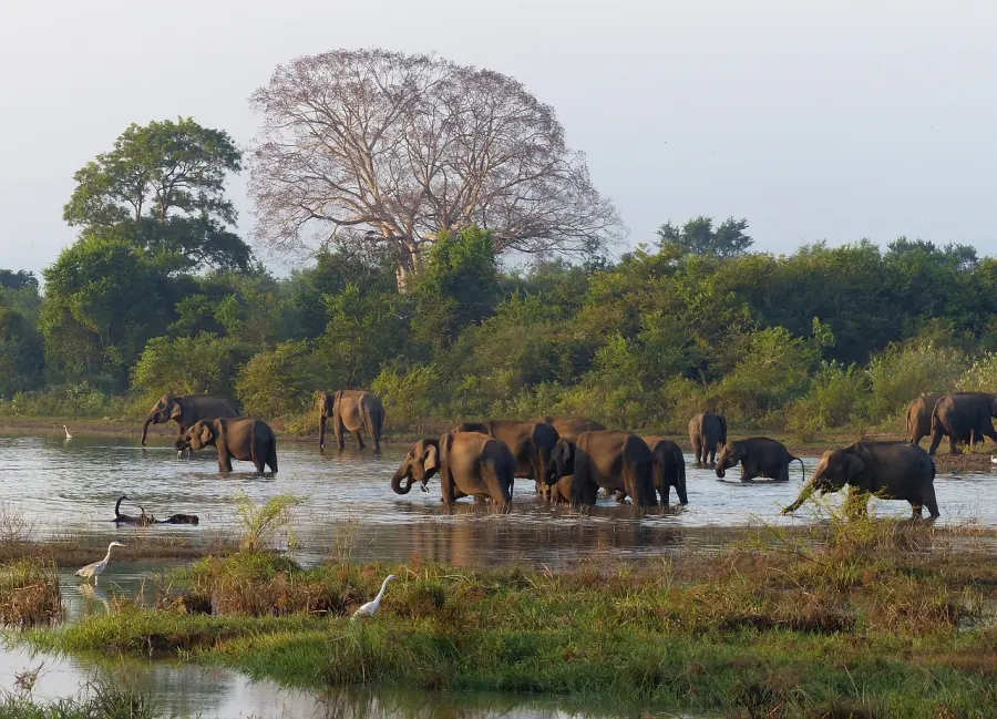 Adventure and a wild life tour — 09 Nights 10 Days