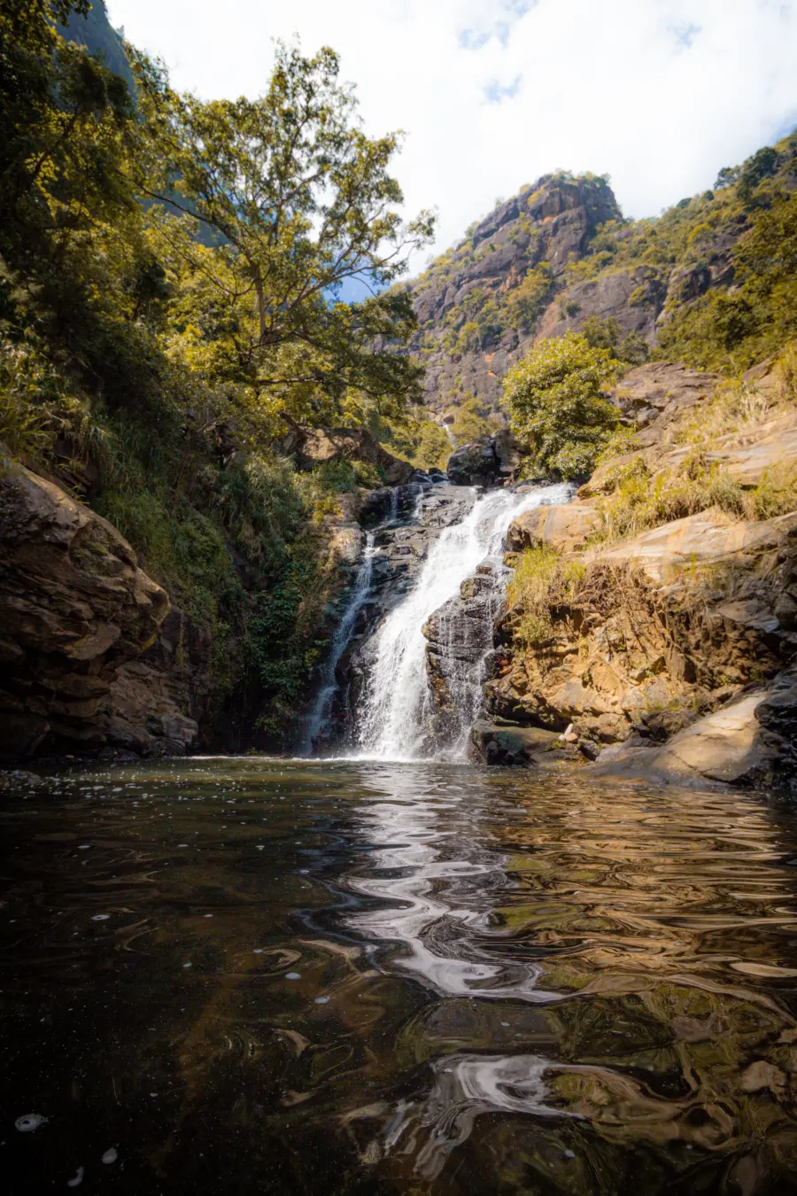 Nuwara Eliya | Horton Plains — Culture and Hill Country Tours