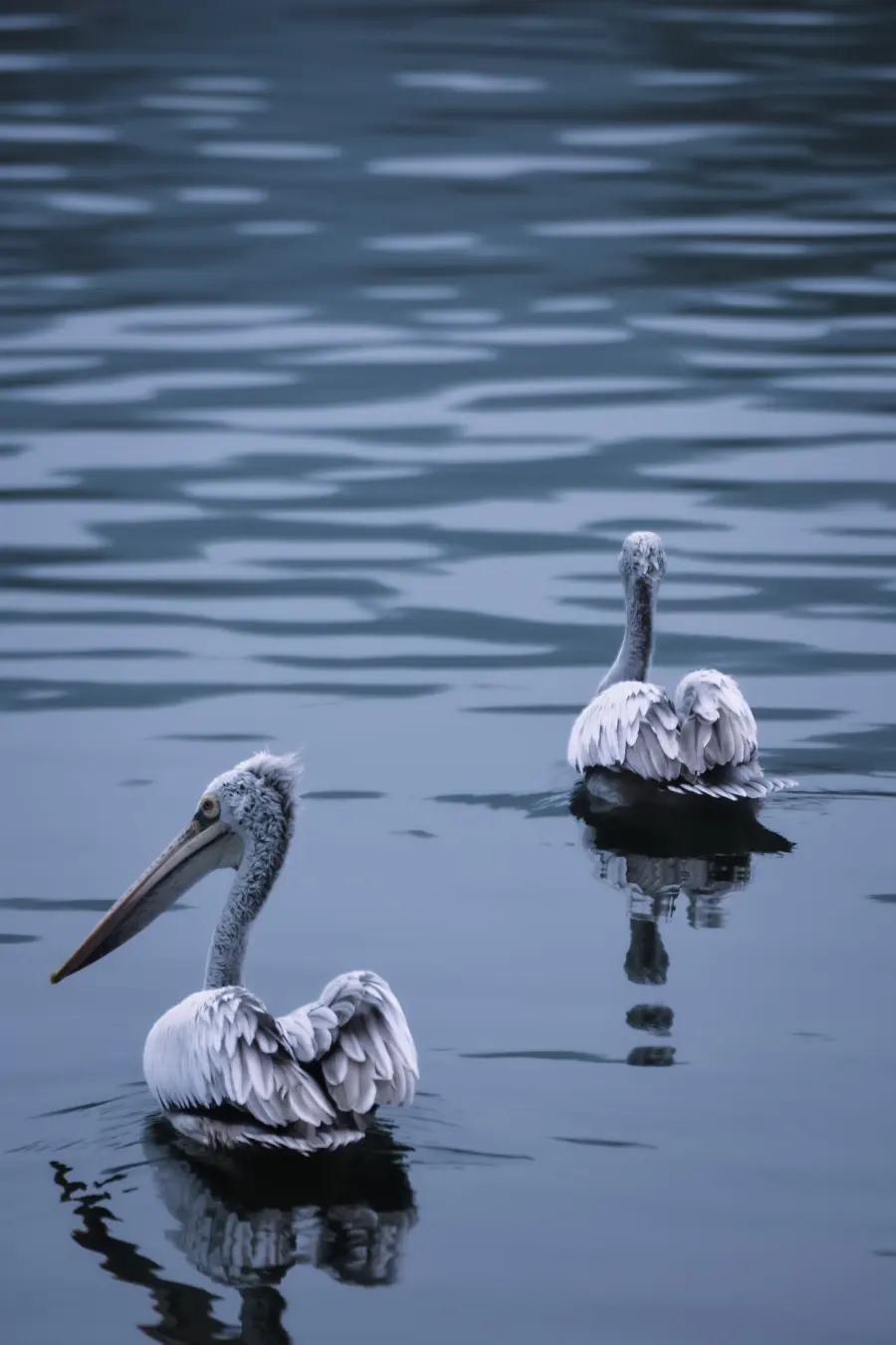 Kumana Bird Sanctuary