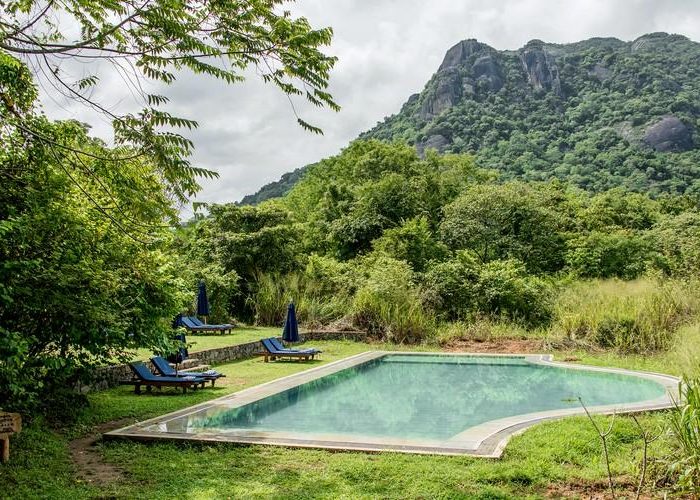 1400__1591698149_NishaniGOL-4